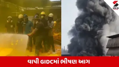 Valsad: Vapi GIDC ક્રોમા કંપનીમાં આગ, બે કામદારો ગંભીર રીતે દાઝ્યા