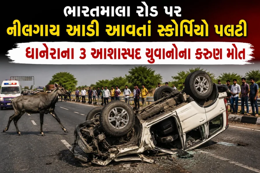 ભારતમાલા અકસ્માત: નીલગાયથી 3 યુવાનોના મોત