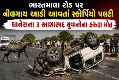 ભારતમાલા અકસ્માત: નીલગાયથી 3 યુવાનોના મોત